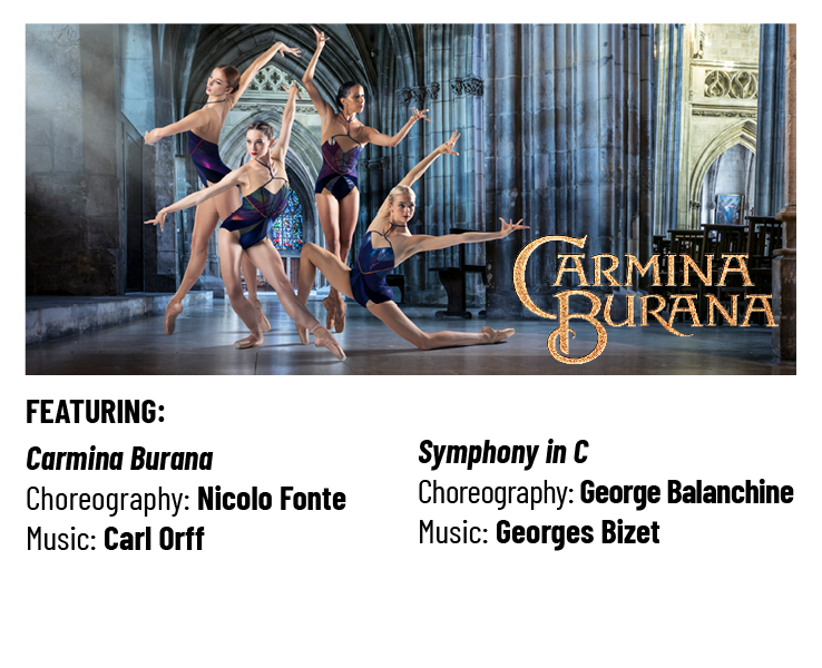 Season Show Rectangle Info5.png